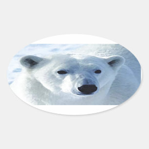 Polar Bear Oval Sticker
