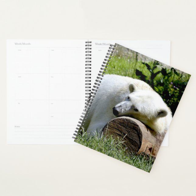 Polar Bear Planner (Display)