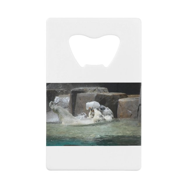 Polar Bear Playing with a Jug (Front)
