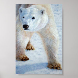 Polar Bear Poster