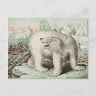Polar Bear Poster Postcard