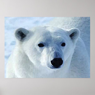 Polar Bear Print
