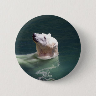 Polar bear resting 6 cm round badge