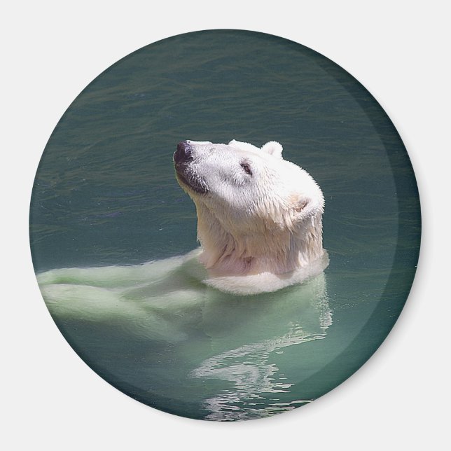 Polar bear resting magnet (Front)