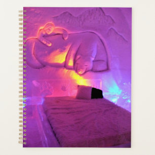 Polar Bear Room at Hotel de Glace, Quebec, Canada Planner