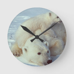 Polar Bear Round Clock