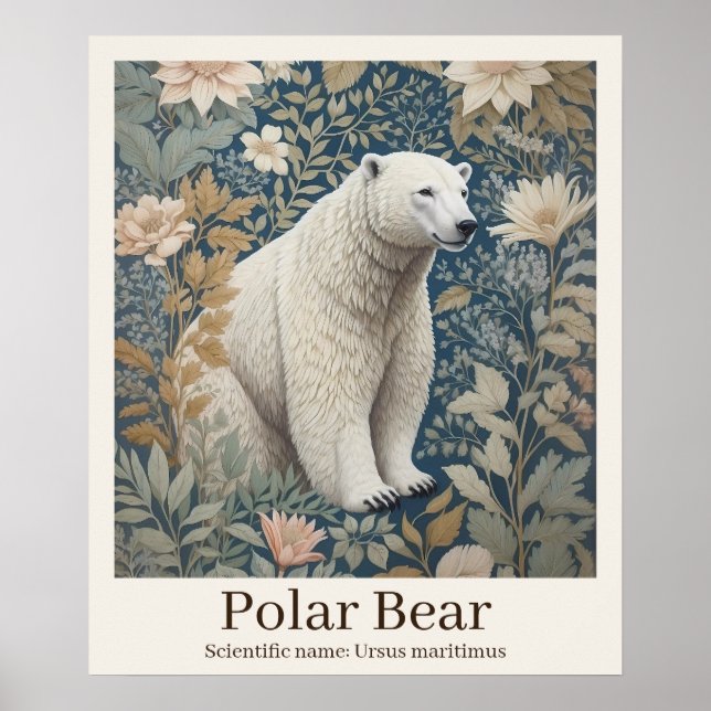 Polar Bear Scientific Name Wildlife Poster (Front)