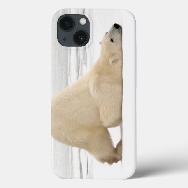 Polar bear scratching itself on frozen tundra Case-Mate iPhone case (Back)