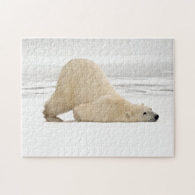 Polar bear scratching itself on frozen tundra jigsaw puzzle (Horizontal)
