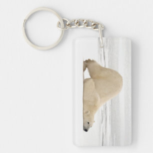 Polar bear scratching itself on frozen tundra key ring