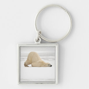 Polar bear scratching itself on frozen tundra key ring