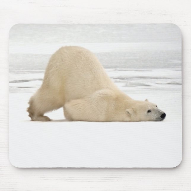 Polar bear scratching itself on frozen tundra mouse mat (Front)
