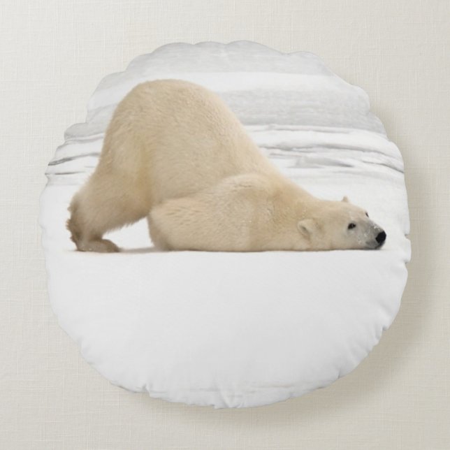 Polar bear scratching itself on frozen tundra round cushion (Front)