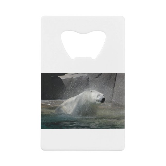 Polar Bear Shaking off water (Front)