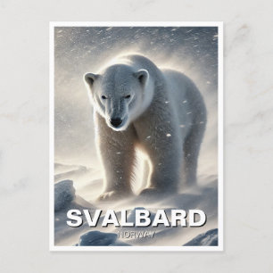 Polar Bear Snow Svalbard Norway Postcard