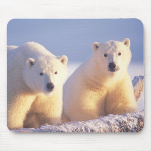 Polar bear sow with cub on pack ice mouse mat