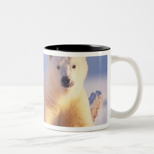 Polar bear sow with cub on pack ice Two-Tone coffee mug (Right)