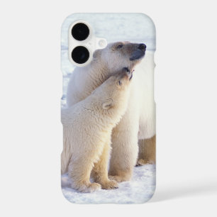 Polar bear sow with cub, pack