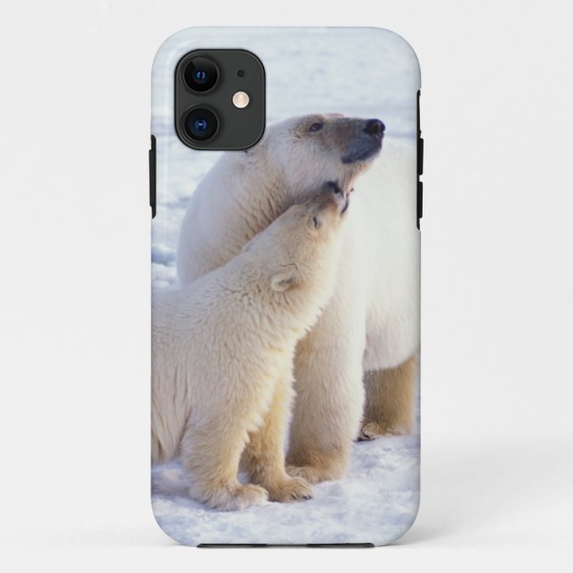 Polar bear sow with cub, pack Case-Mate iPhone case (Back)
