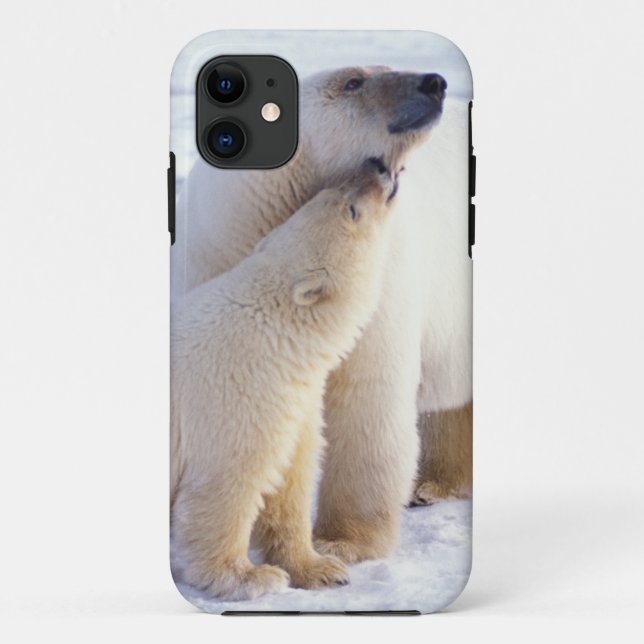 Polar bear sow with cub, pack Case-Mate iPhone case (Back)