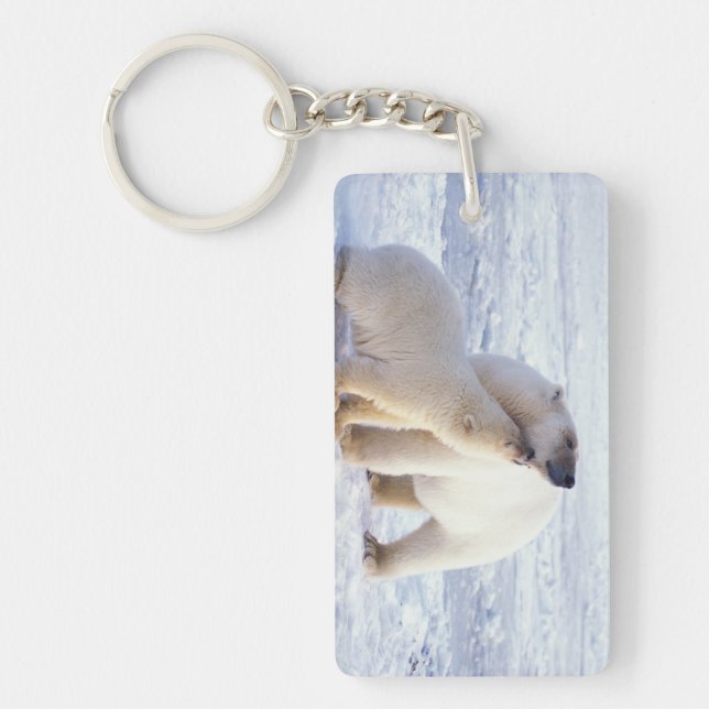 Polar bear sow with cub, pack key ring (Front)