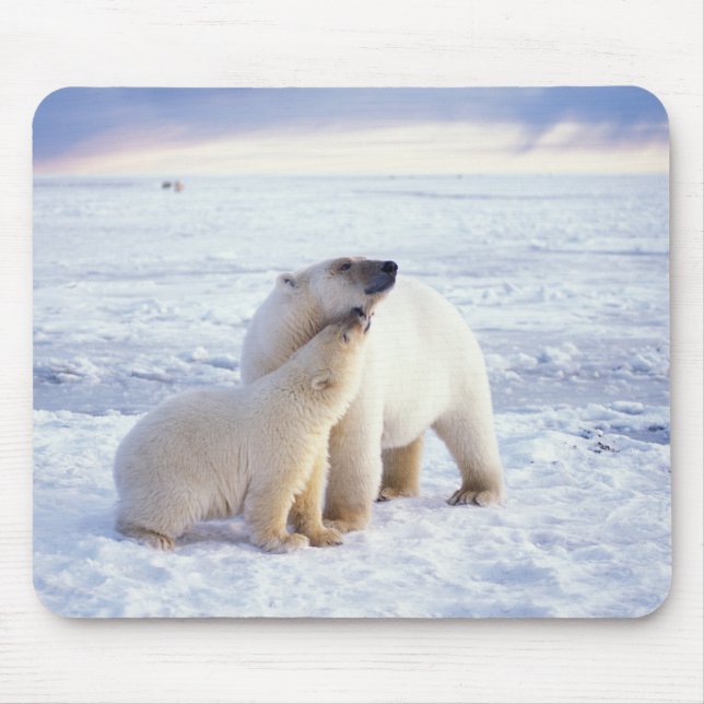 Polar bear sow with cub, pack mouse mat (Front)