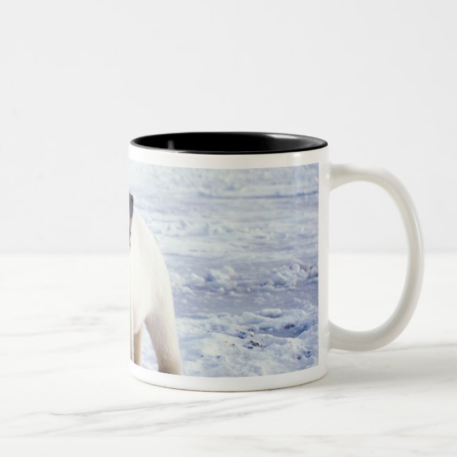 Polar bear sow with cub, pack Two-Tone coffee mug (Right)