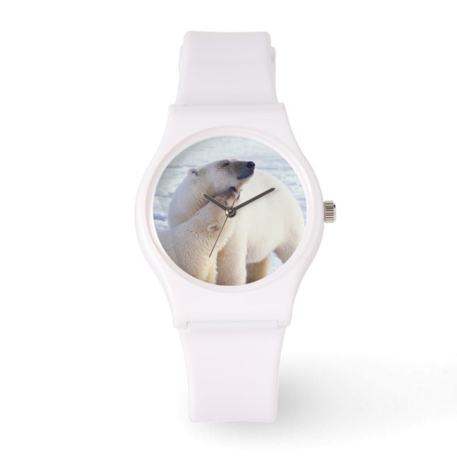 Polar bear sow with cub, pack watch (Front)