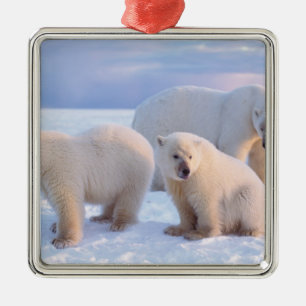 Polar bear sow with cubs on pack ice of coastal metal tree decoration