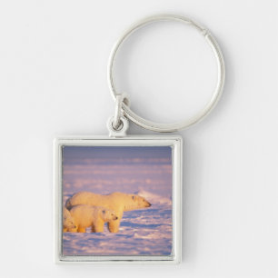 Polar bear sow with spring cubs on the frozen key ring