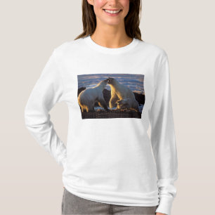 Polar bear sows with cub at side, 1002 coastal T-Shirt