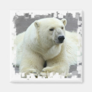 Polar Bear Square Magnet