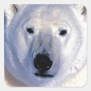 Polar Bear Square Sticker