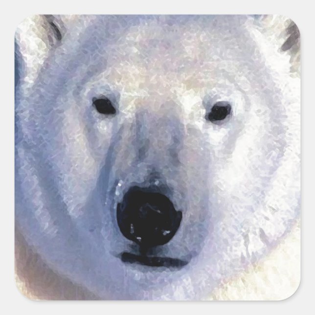 Polar Bear Square Sticker (Front)