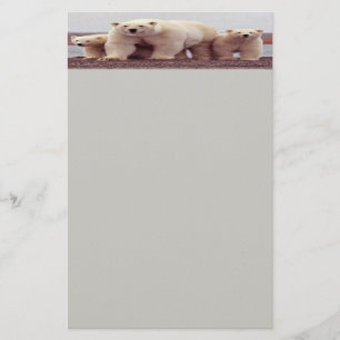 Polar bear Stationery