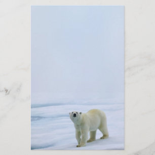 Polar Bear Stationery