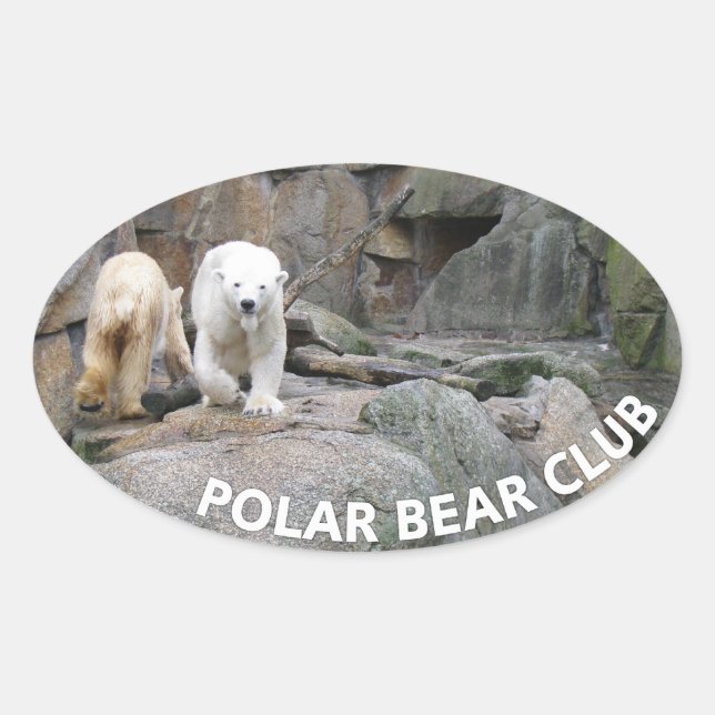 POLAR BEAR stickers (Front)