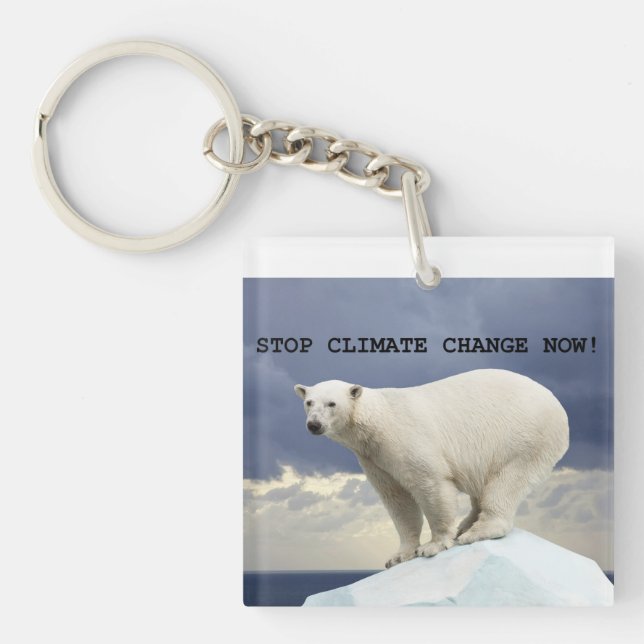 Polar Bear Stop Climate Change Now!  Key Ring (Front)