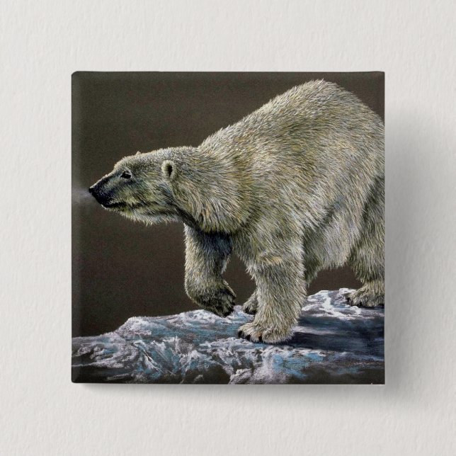 Polar Bear study 15 Cm Square Badge (Front)