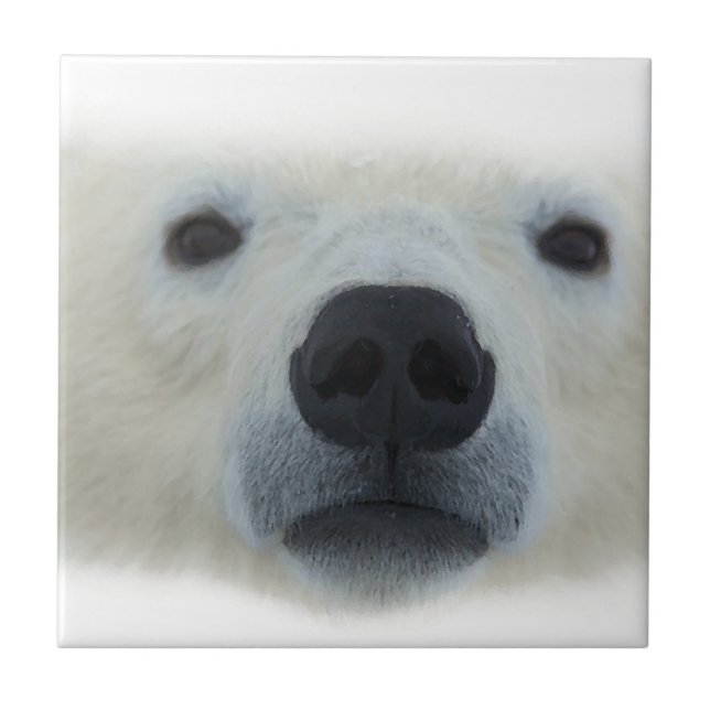 Polar Bear Tile (Front)