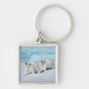 Polar bear, two cups on pack ice, Ursus Key Ring