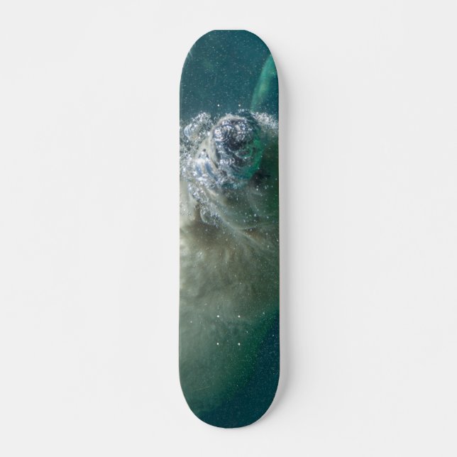 Polar bear underwater skateboard (Front)