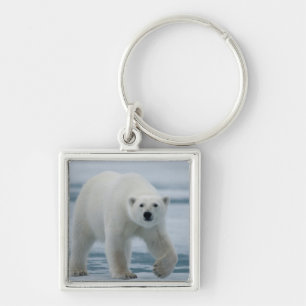Polar Bear, Ursus Maritimus, Adult Key Ring