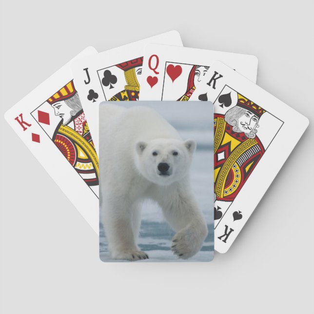 Polar Bear, Ursus Maritimus, Adult Playing Cards (Back)