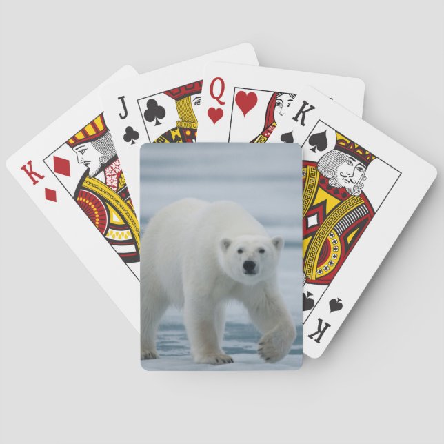 Polar Bear, Ursus Maritimus, Adult Playing Cards (Back)