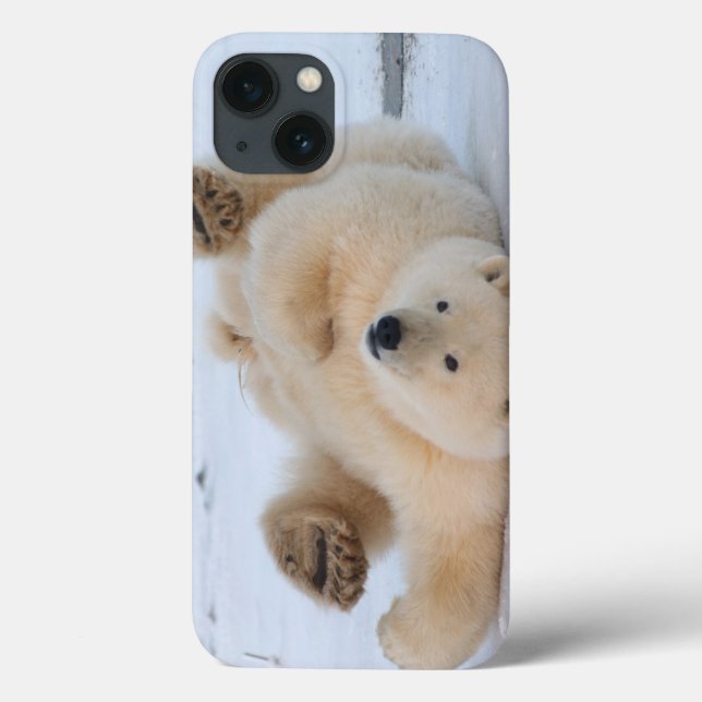 polar bear, Ursus maritimus, cub rolling 3 Case-Mate iPhone Case (Back)
