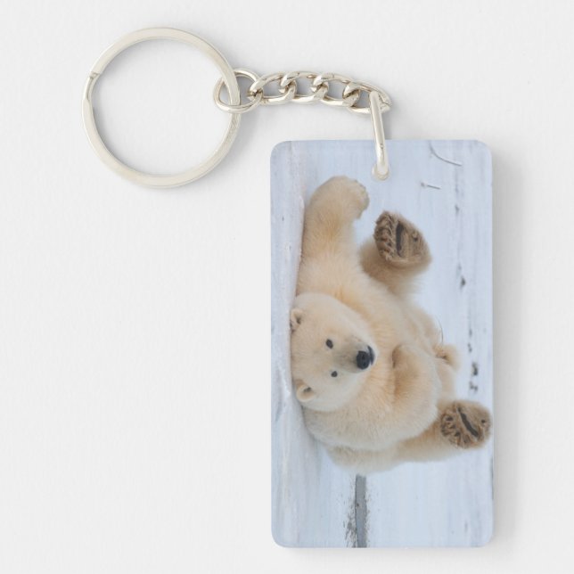 polar bear, Ursus maritimus, cub rolling 3 Key Ring (Front)