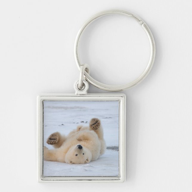 polar bear, Ursus maritimus, cub rolling 3 Key Ring (Front)