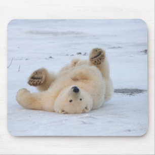 polar bear, Ursus maritimus, cub rolling 3 Mouse Mat