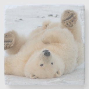 polar bear, Ursus maritimus, cub rolling 3 Stone Coaster